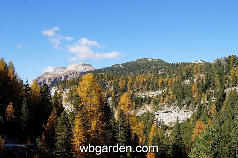 wbgarden alps 104.JPG